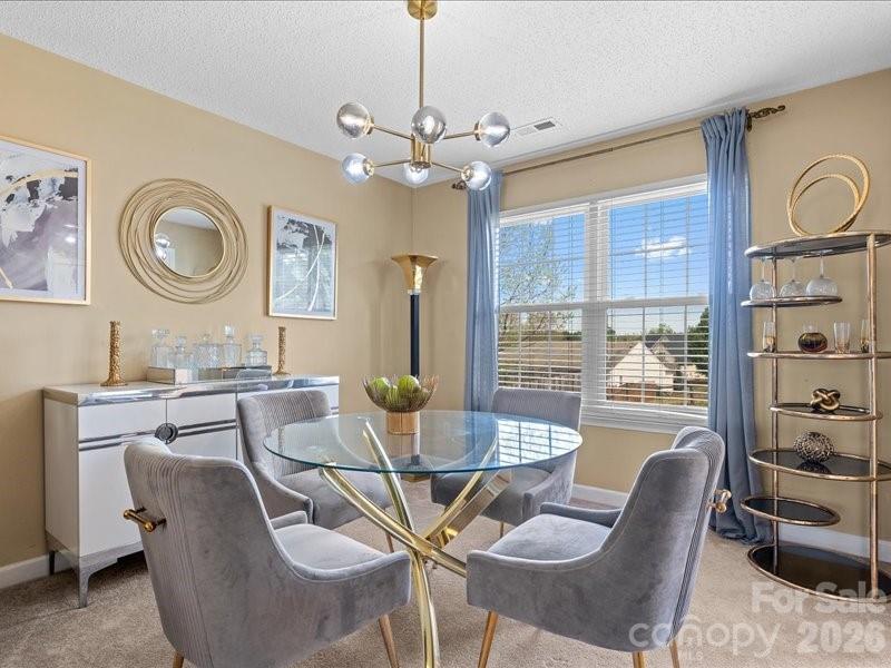 11125 Palestrina Road — Charlotte