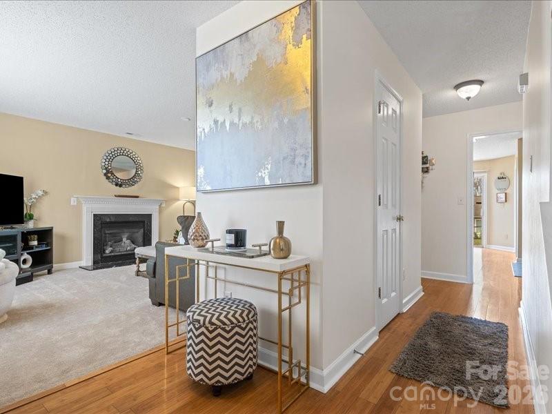 11125 Palestrina Road — Charlotte