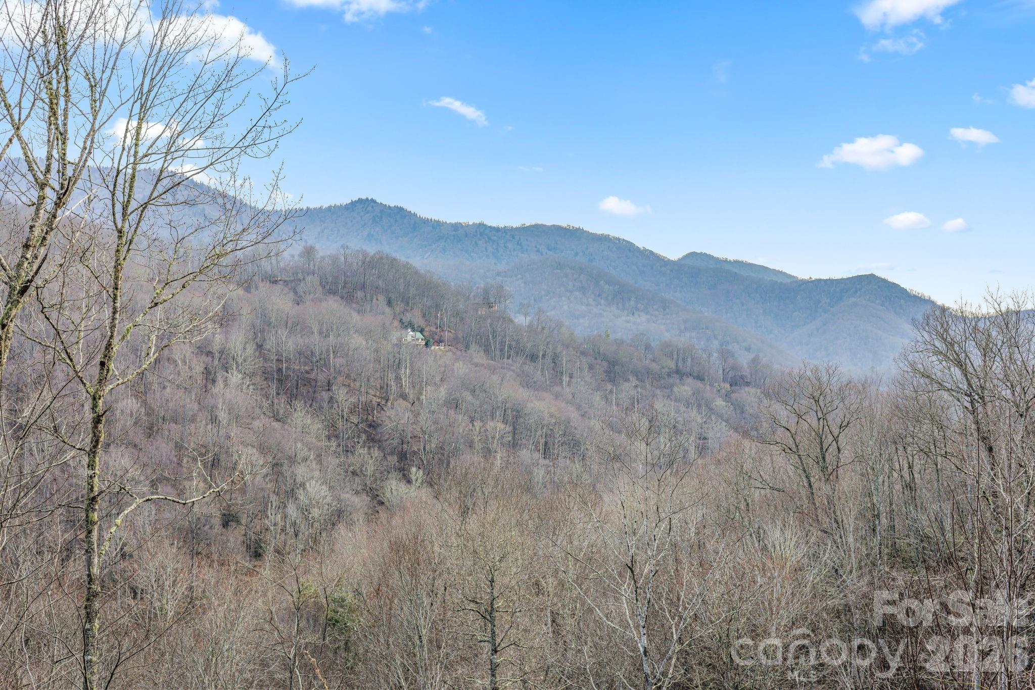 328 Mountain Lion Trail — Maggie Valley