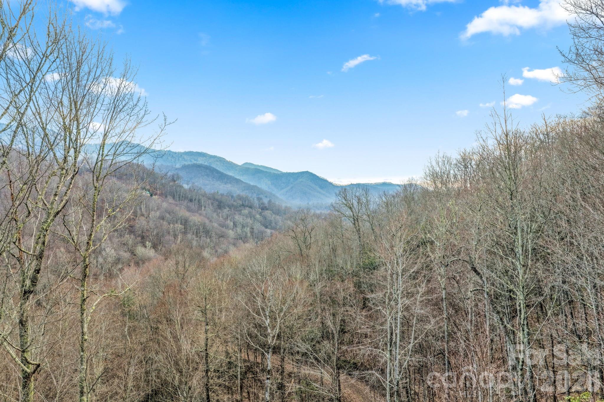 328 Mountain Lion Trail — Maggie Valley