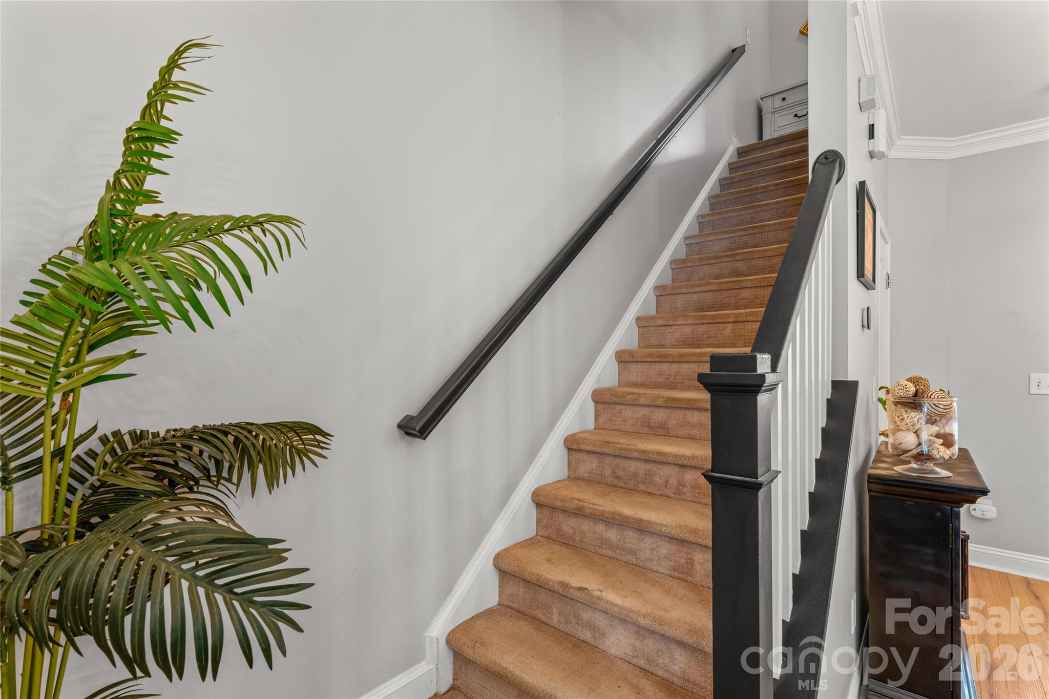 343 Hurston Circle — Charlotte
