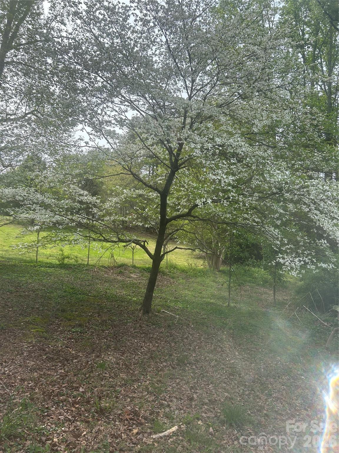 512 Forest Lane — Yadkinville
