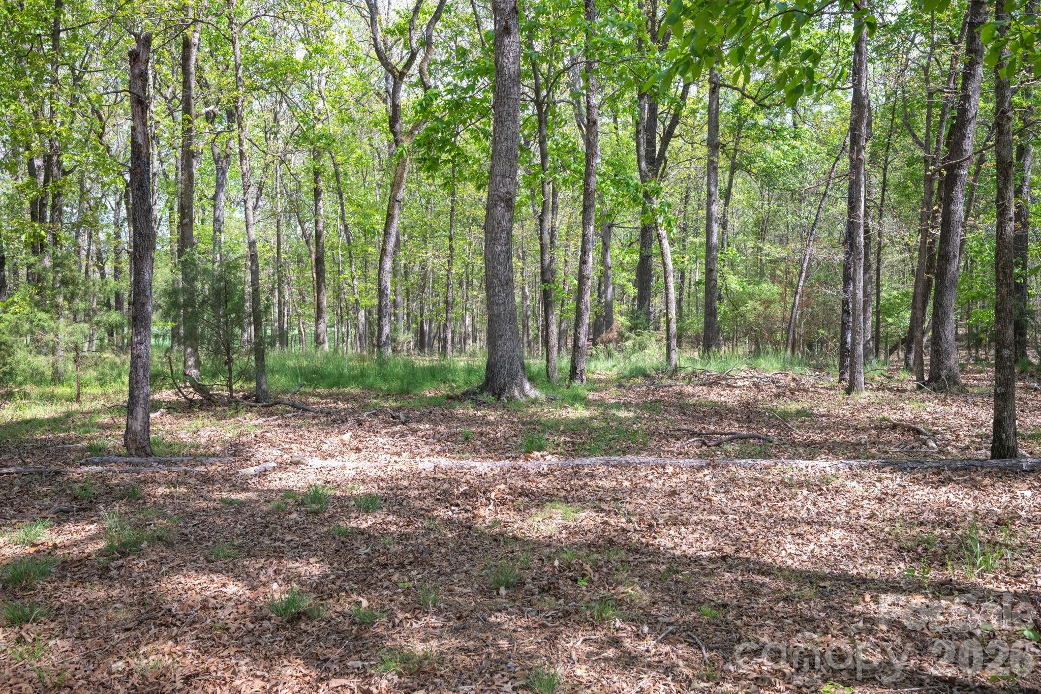 824 N Forest Hills School Road — Marshville