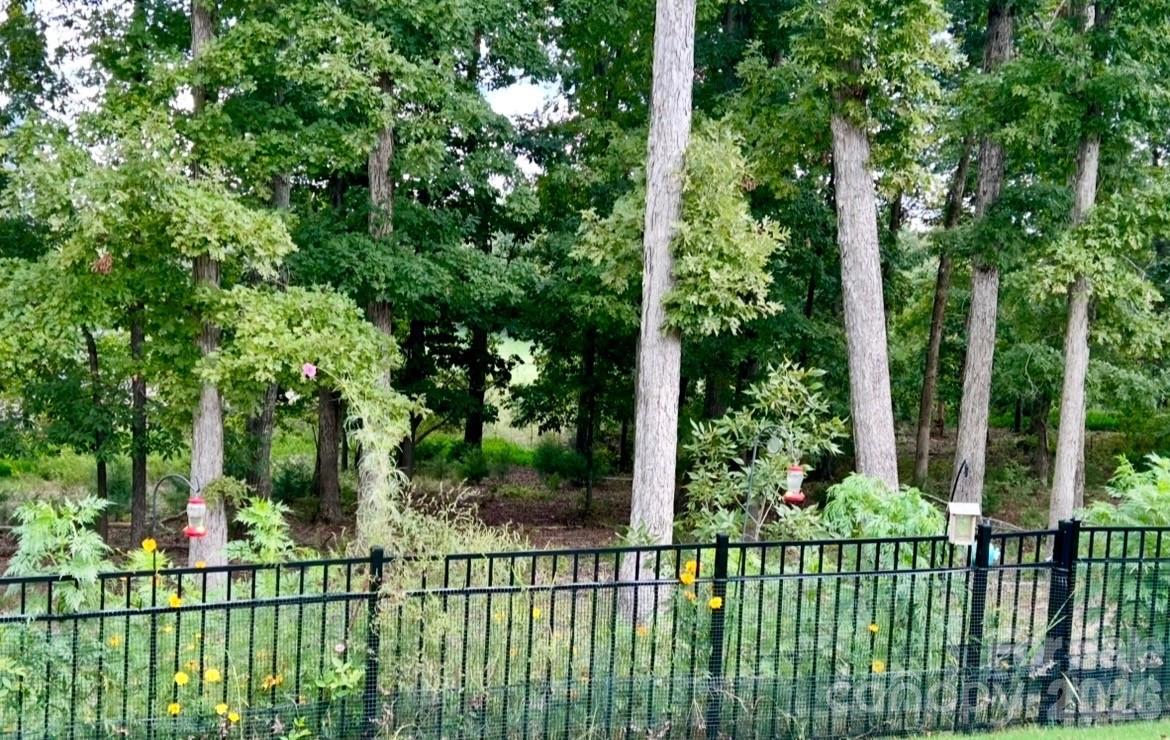 479 Shallowford Drive — Rock Hill
