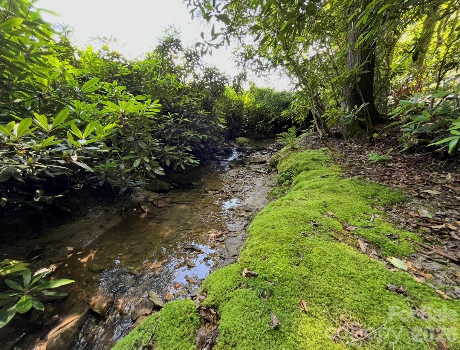 3434 Old Jonas Ridge Road — Newland
