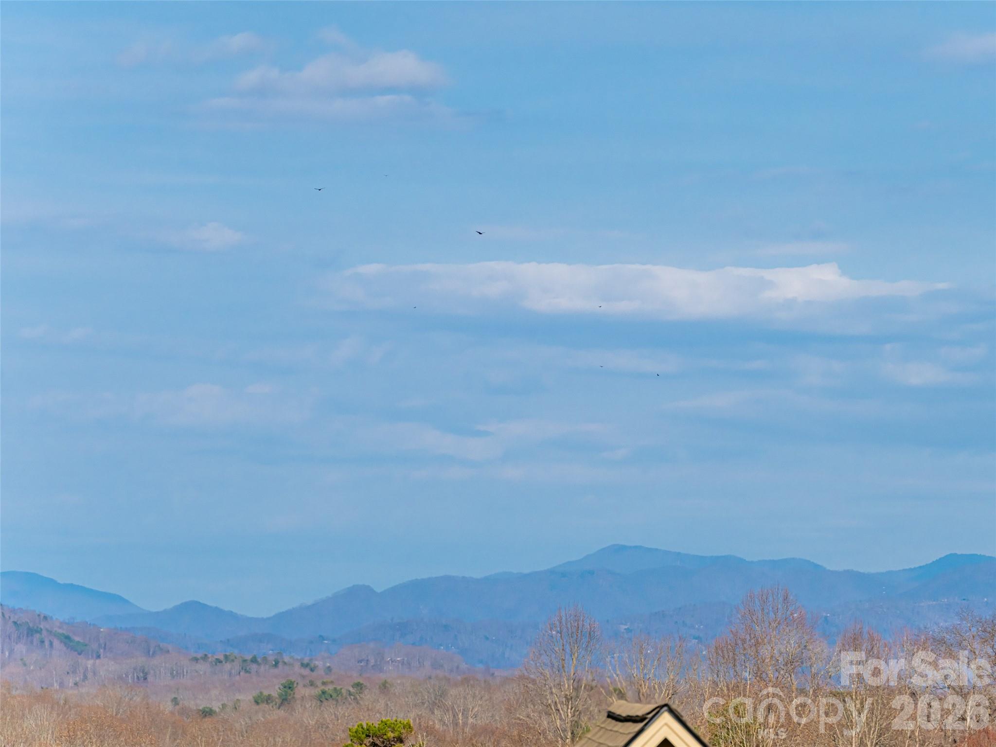 1031 Hillside Ridge Road — Candler
