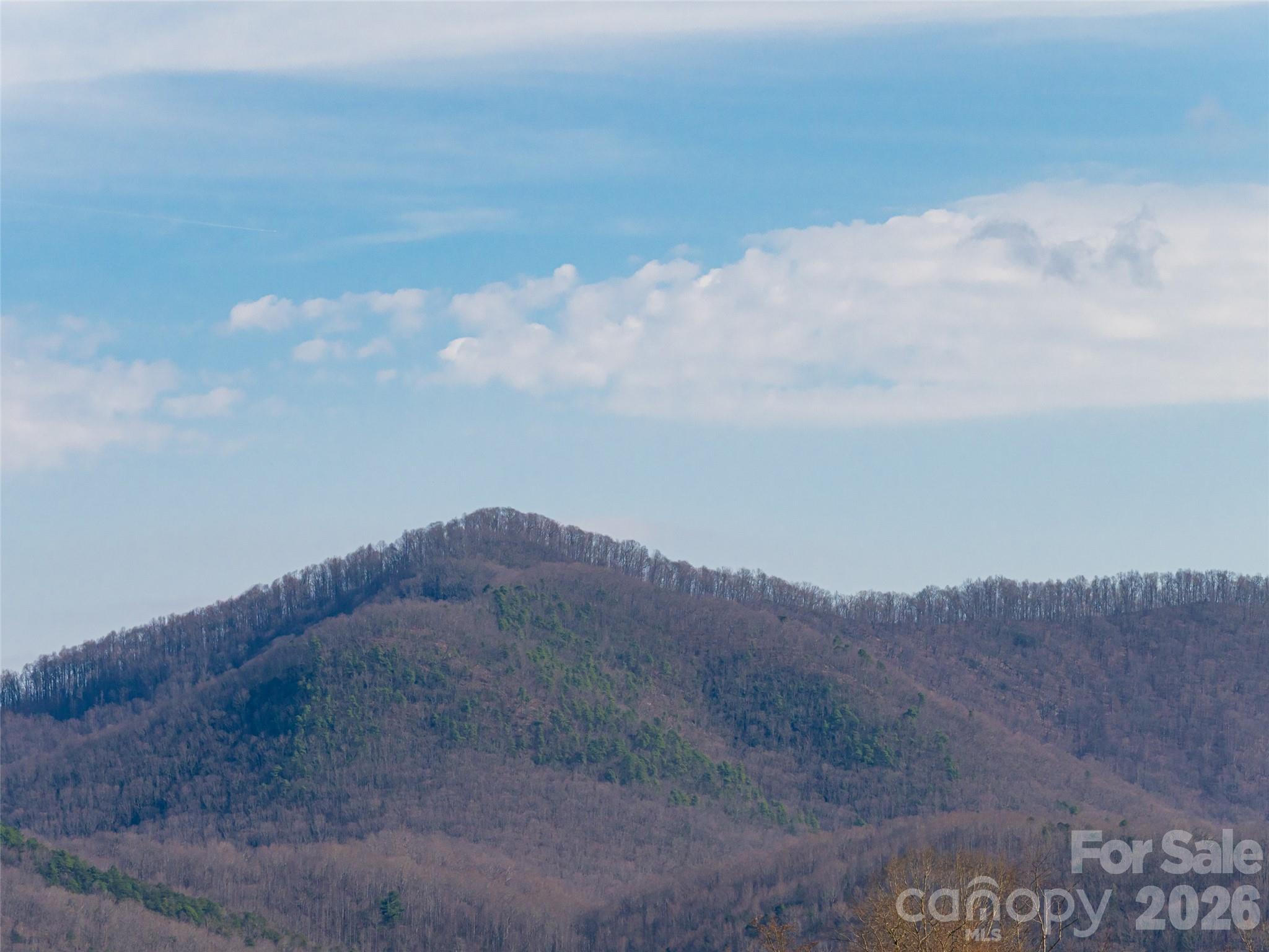 1031 Hillside Ridge Road — Candler