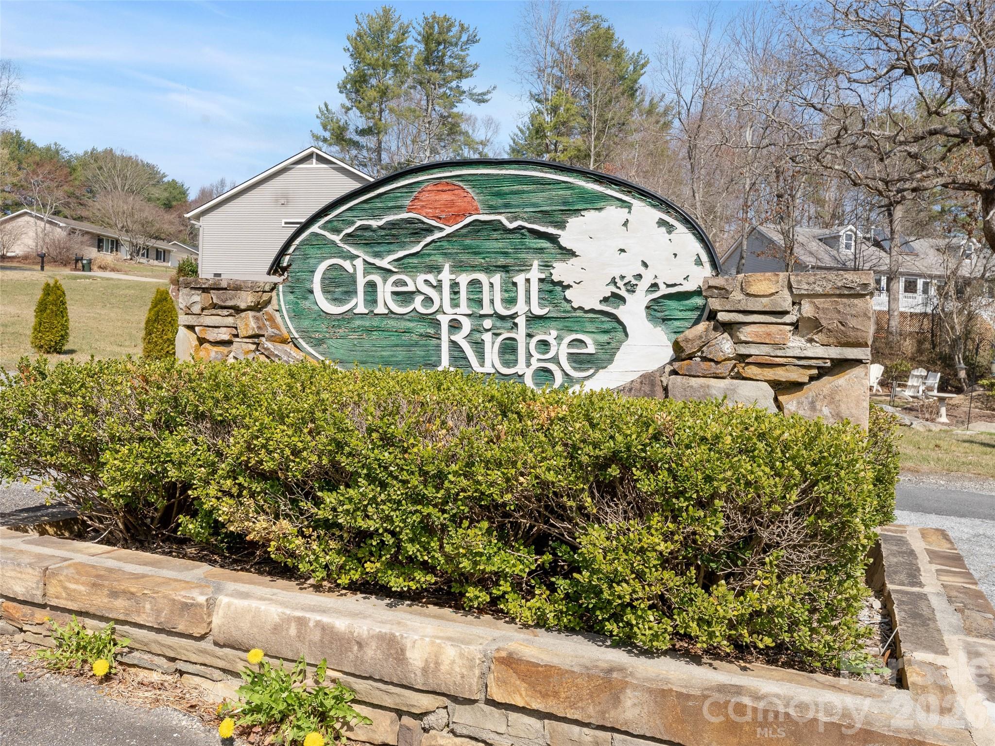 163 Oak Apple Lane — Hendersonville