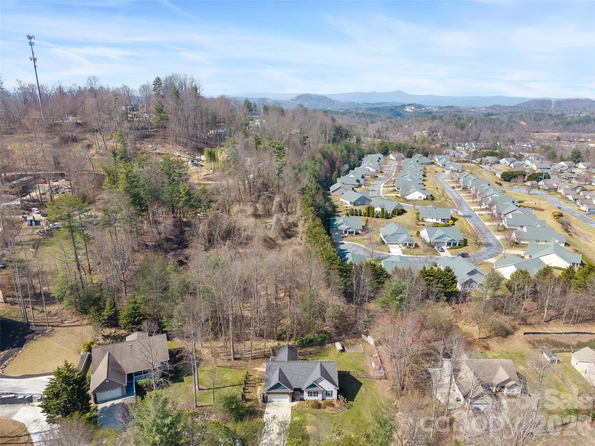 163 Oak Apple Lane — Hendersonville