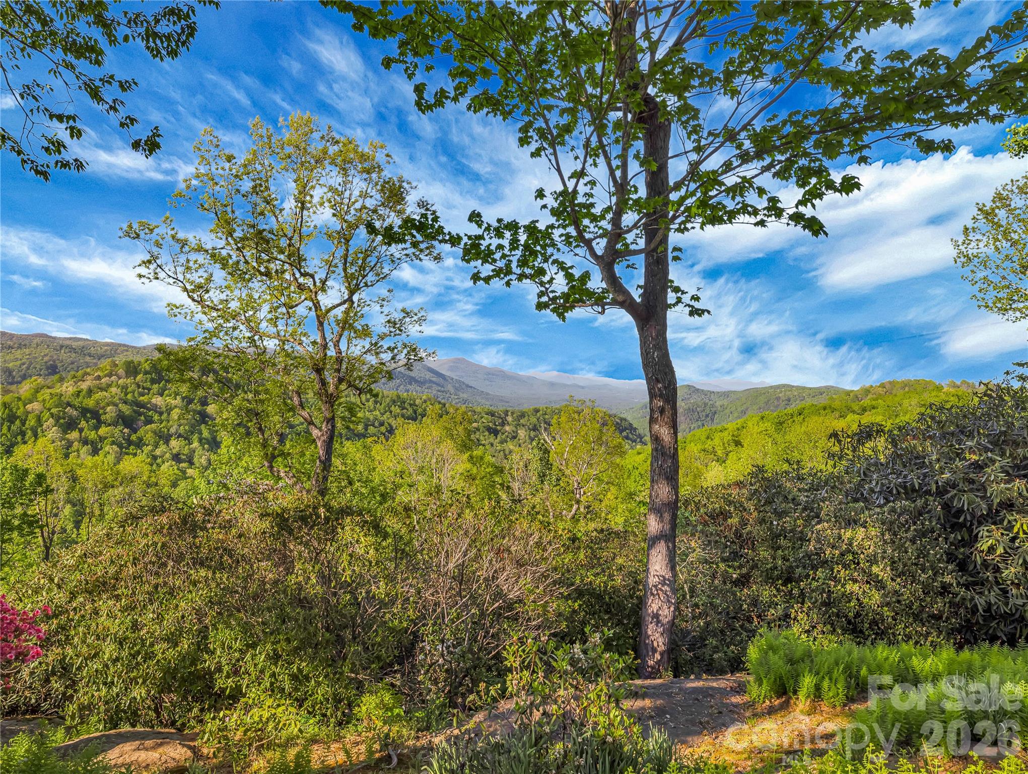 405 Glen Echo Circle — Saluda