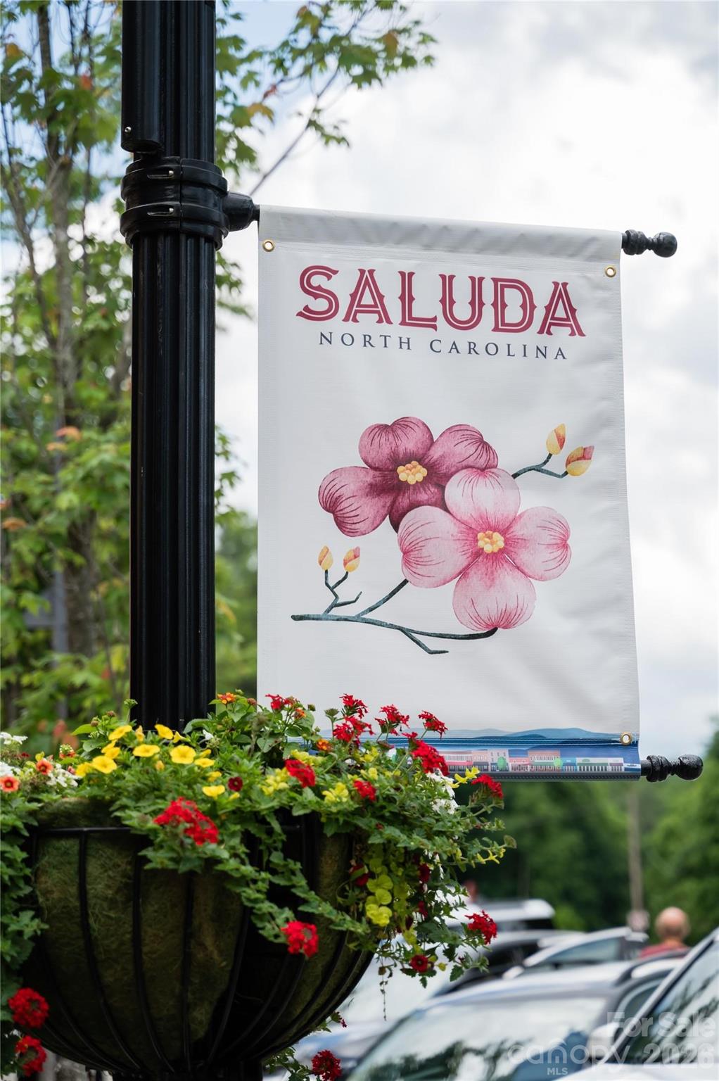 405 Glen Echo Circle — Saluda