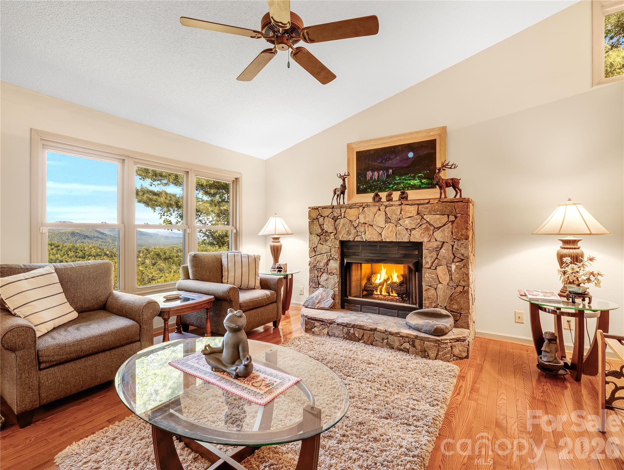 405 Glen Echo Circle — Saluda