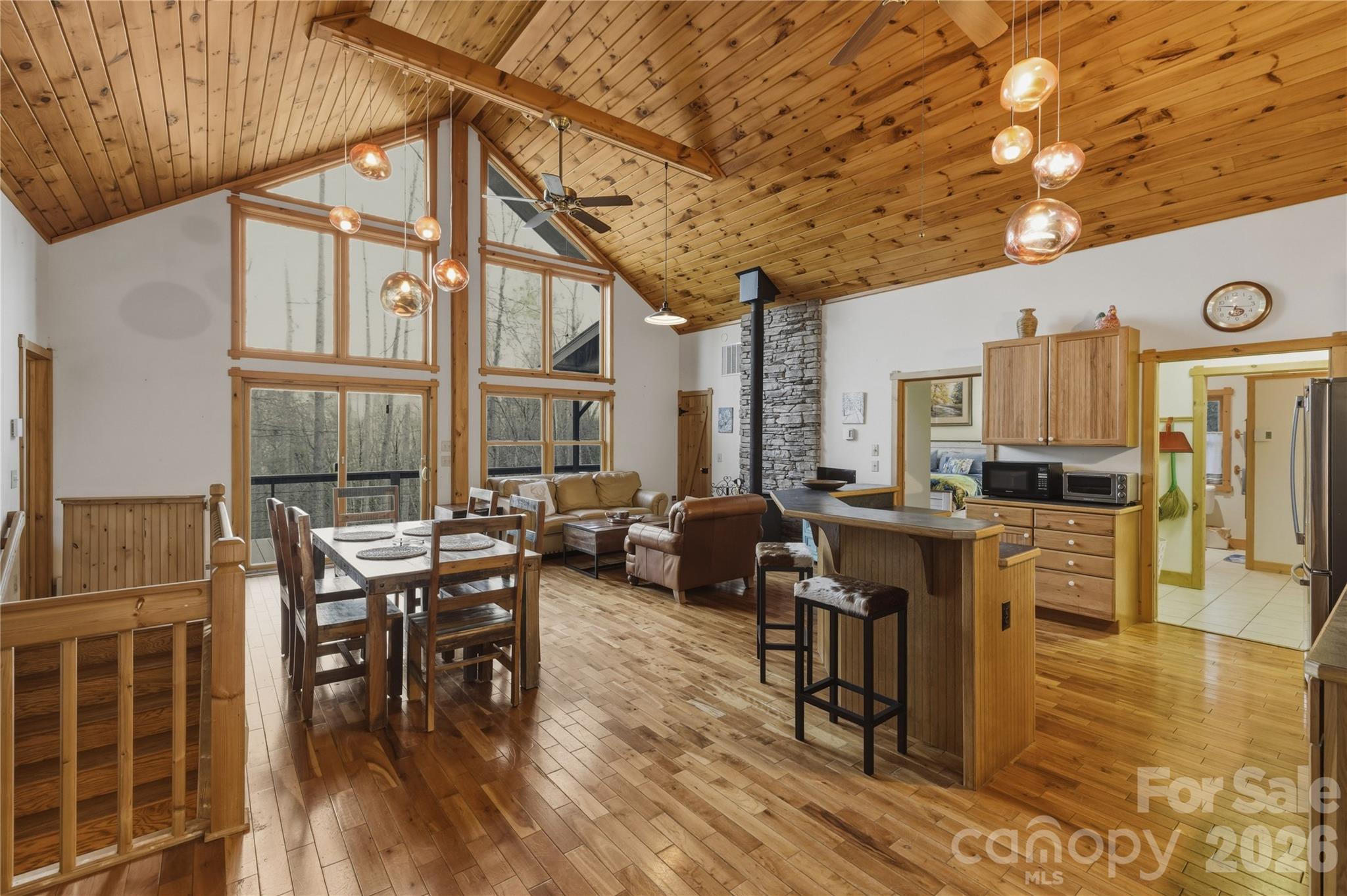 163 Bear Track Lane — Vilas