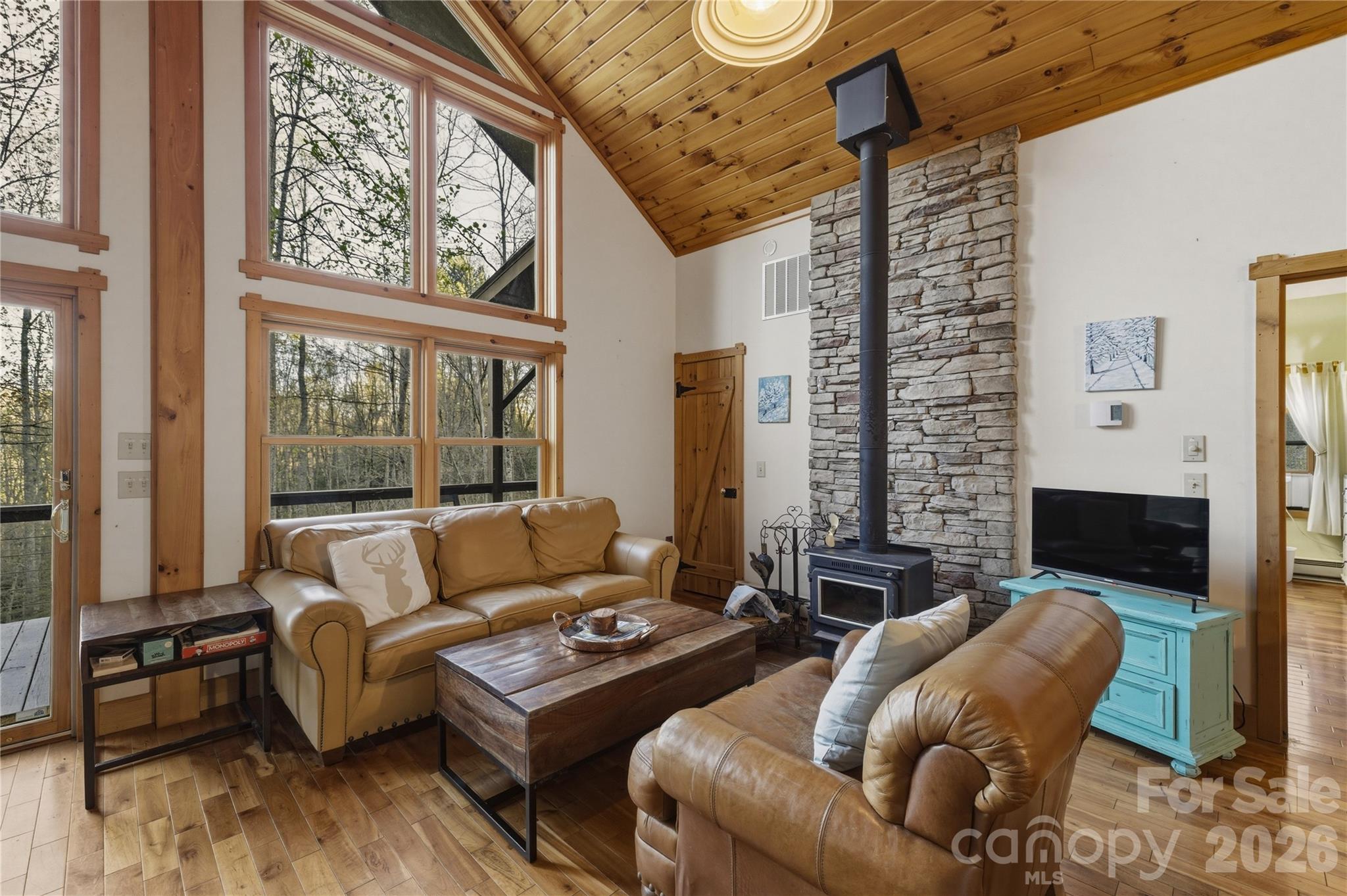 163 Bear Track Lane — Vilas