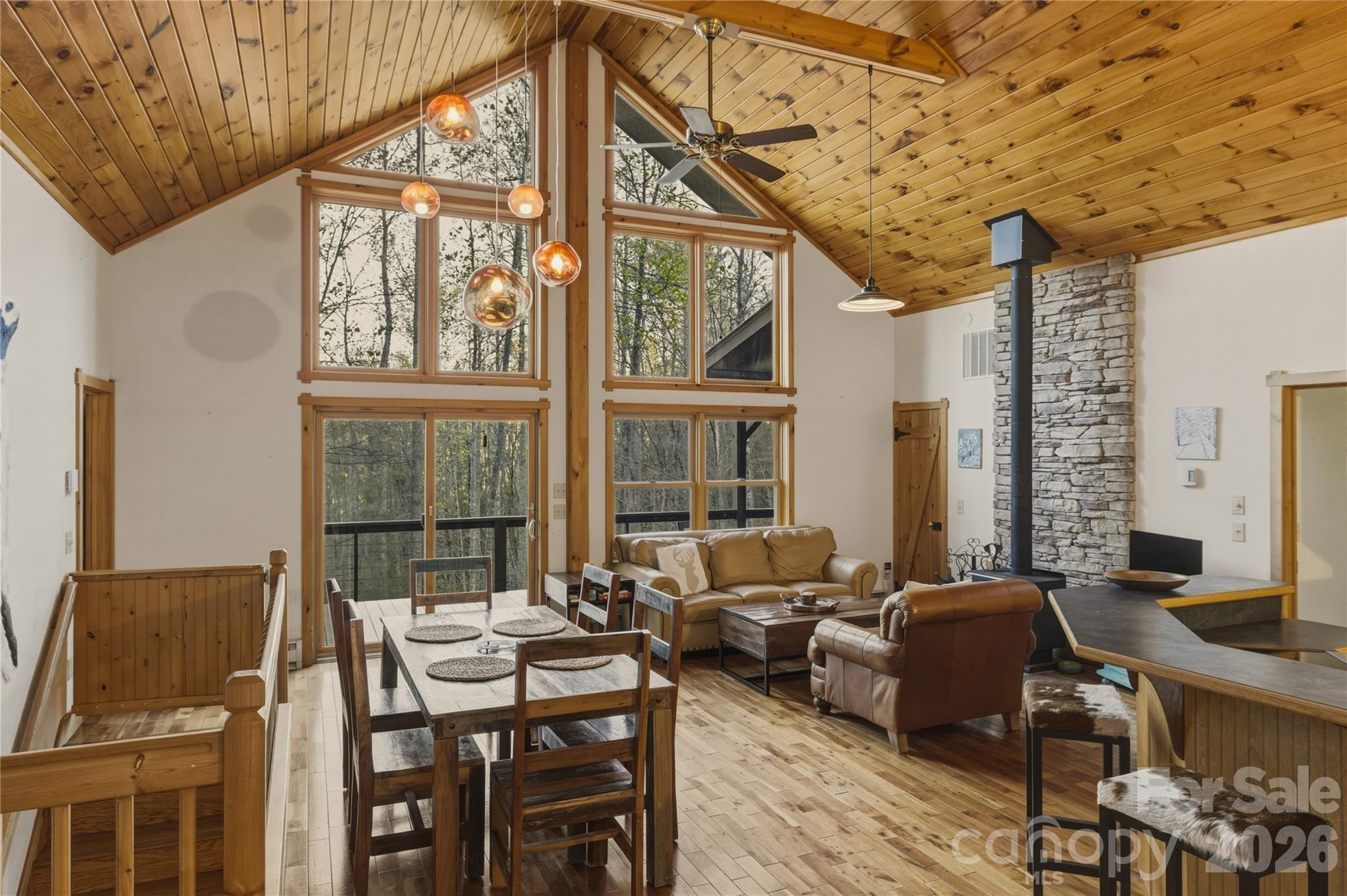 163 Bear Track Lane — Vilas