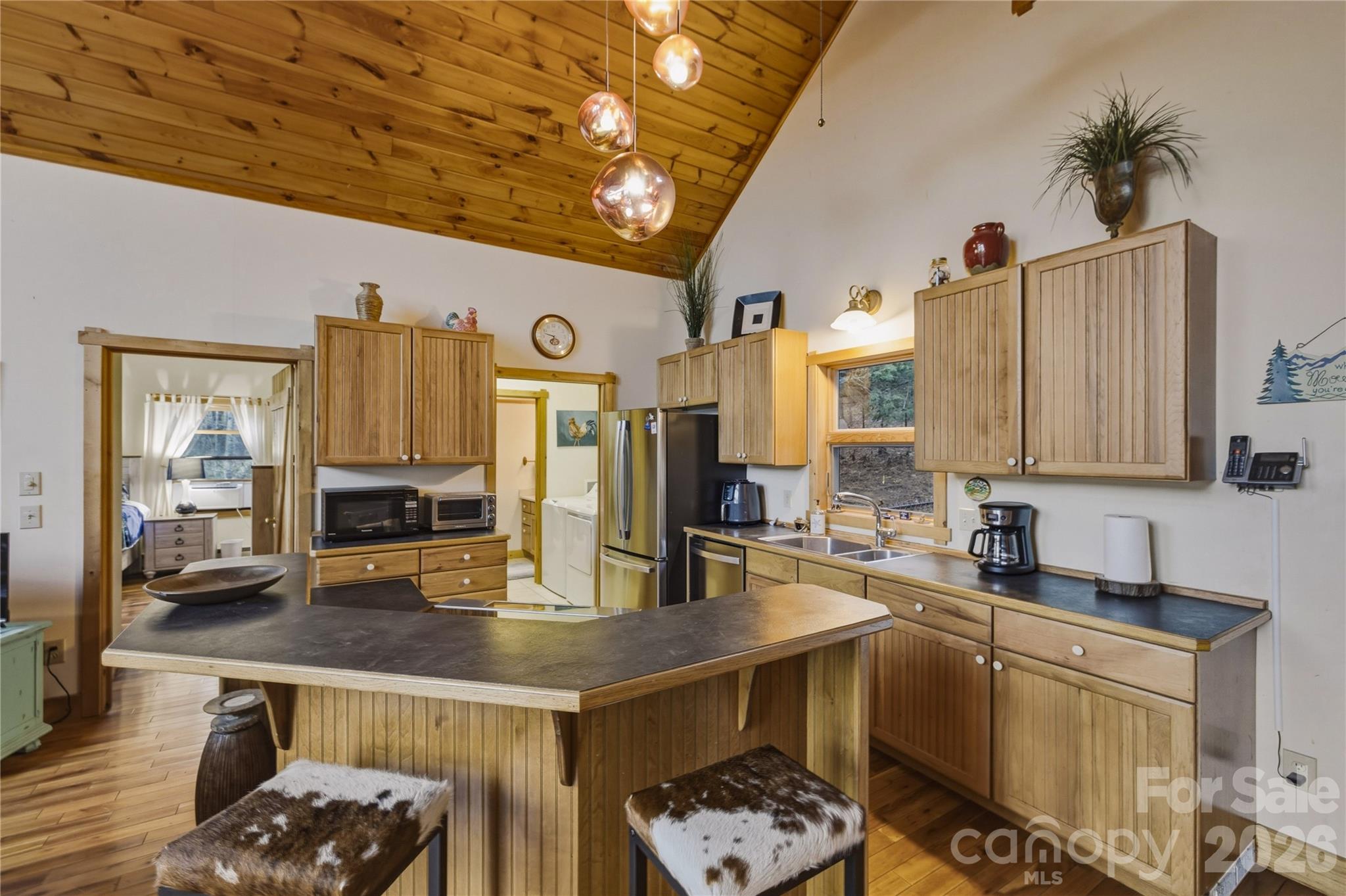 163 Bear Track Lane — Vilas