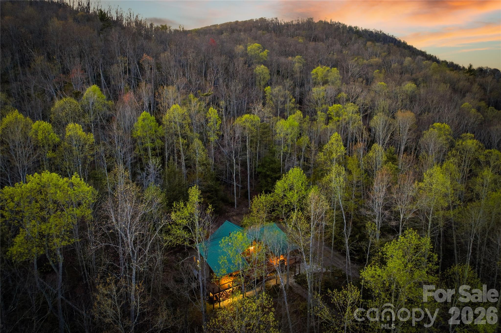 163 Bear Track Lane — Vilas