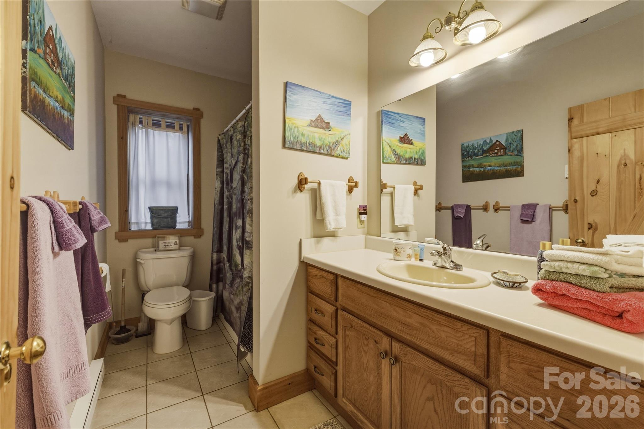 163 Bear Track Lane — Vilas