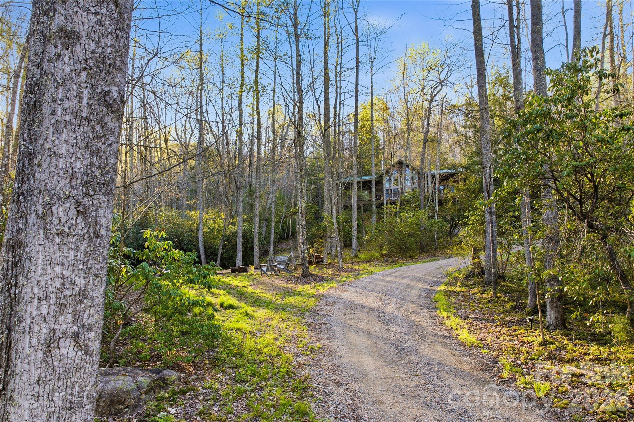 163 Bear Track Lane — Vilas