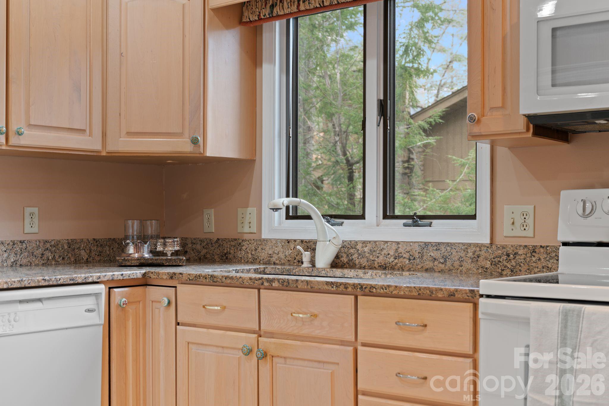 301 N Scarlet Oak Lane — Hendersonville