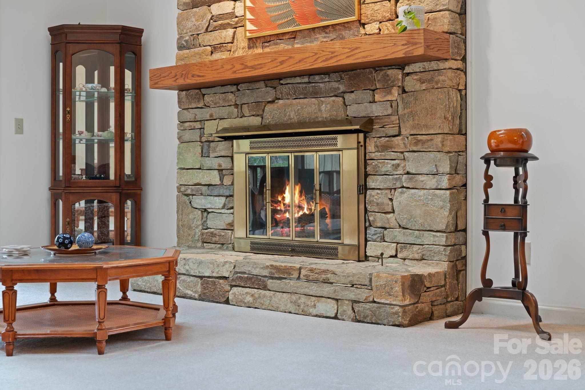 301 N Scarlet Oak Lane — Hendersonville