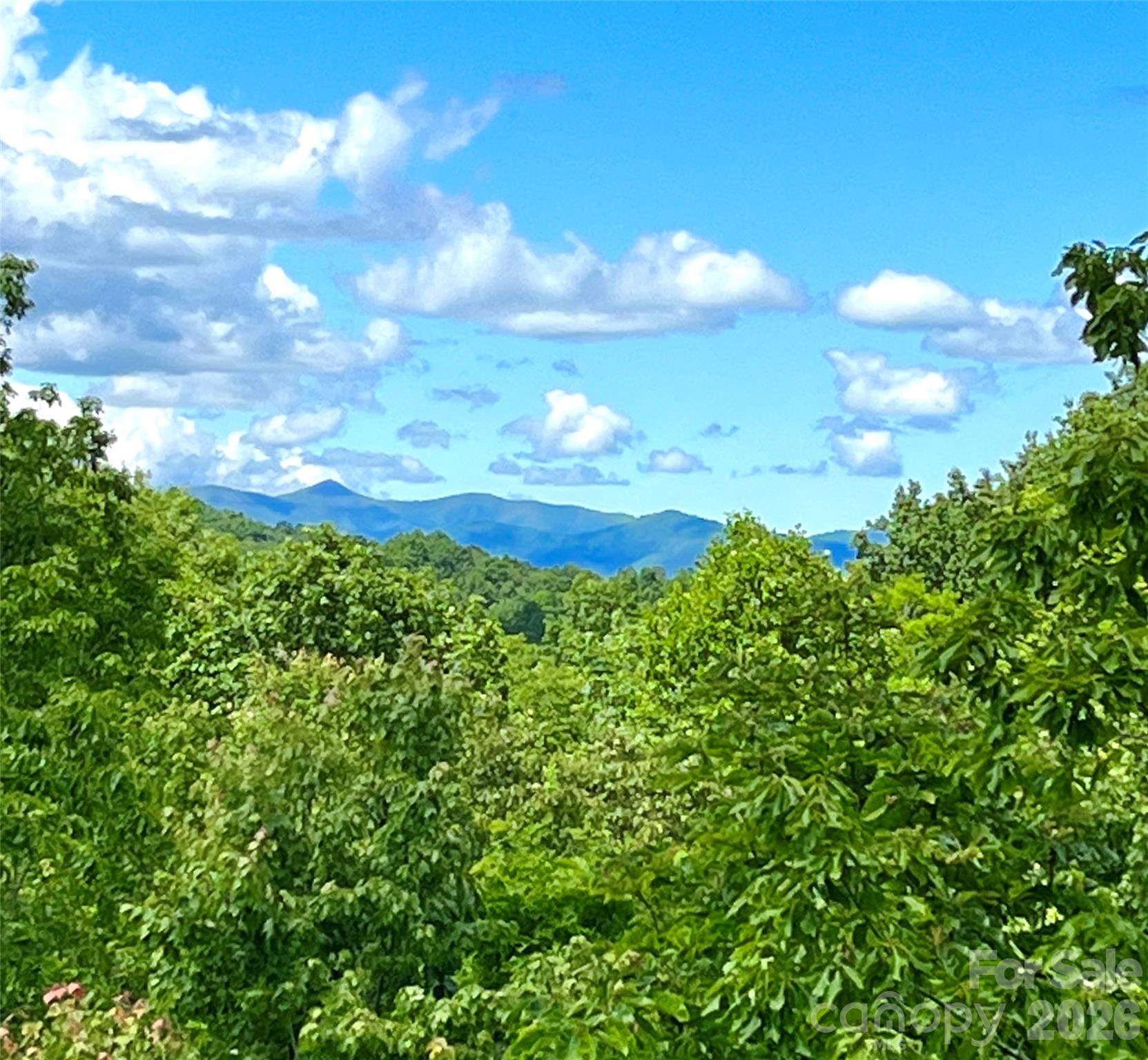 123 Isuhdavga Court — Brevard