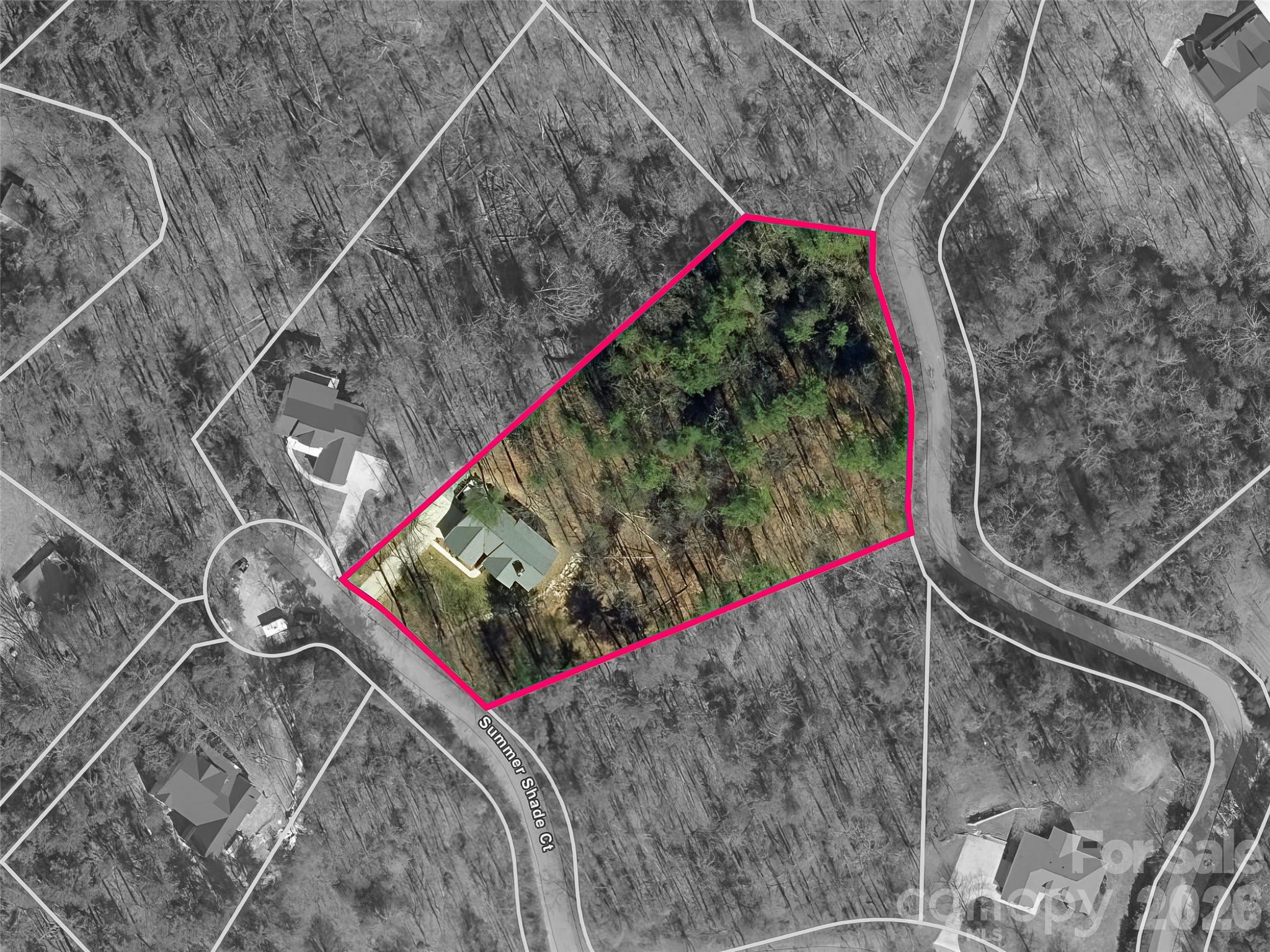 72 Summer Shade Court — Hendersonville