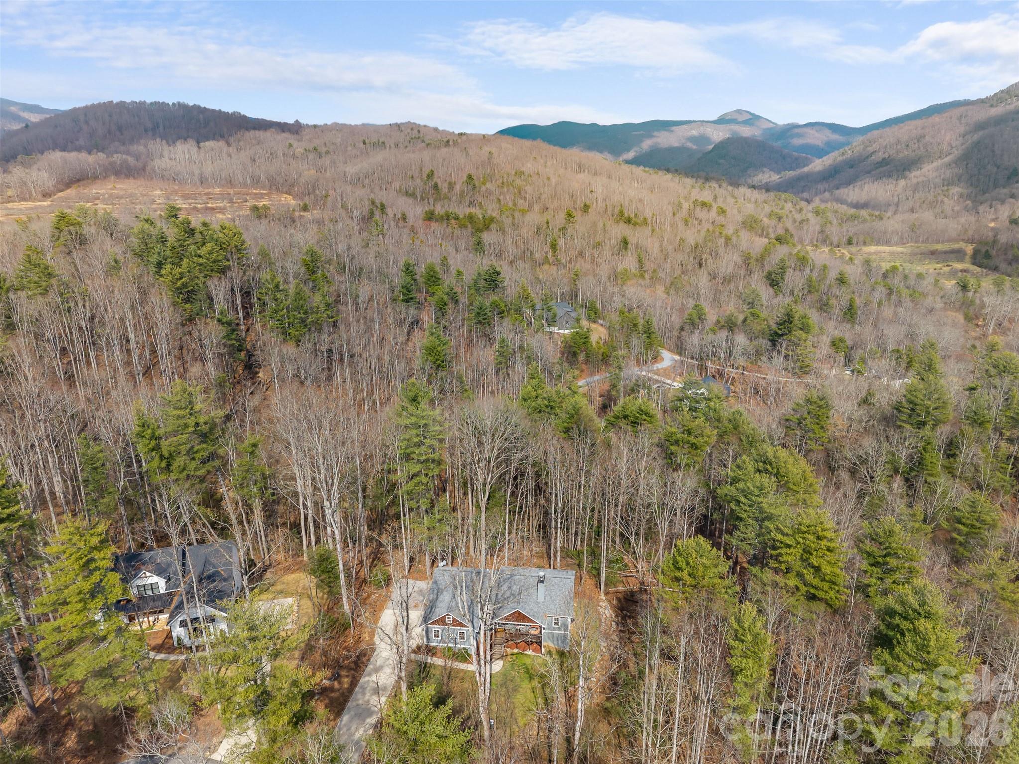 72 Summer Shade Court — Hendersonville