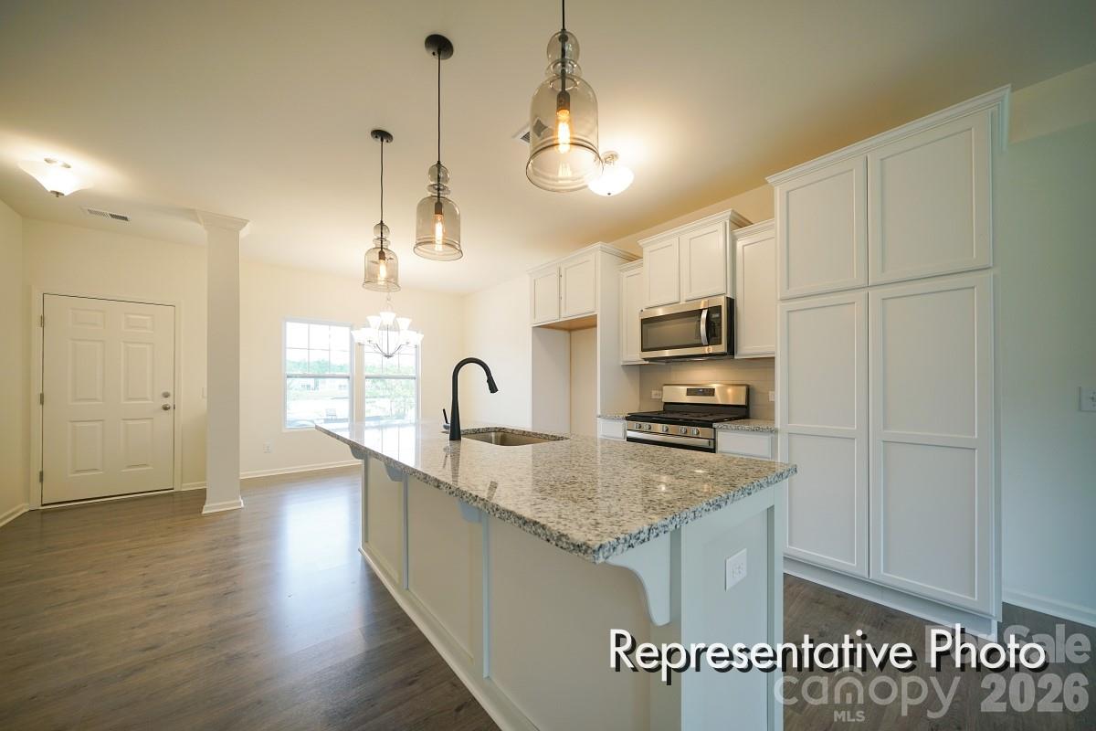 1138 Lorrie Lane #323p — Albemarle