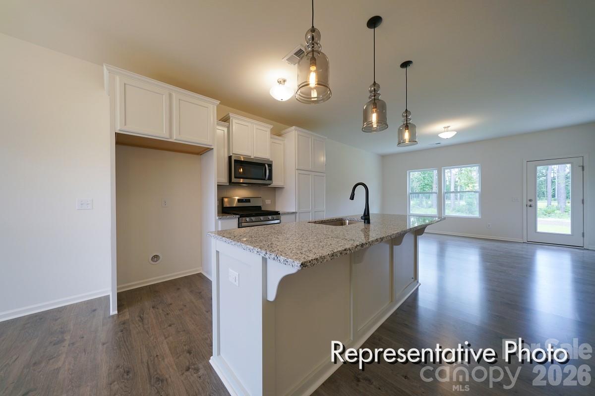 1138 Lorrie Lane #323p — Albemarle