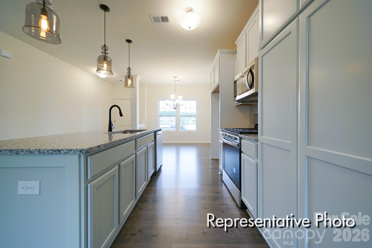 1138 Lorrie Lane #323p — Albemarle