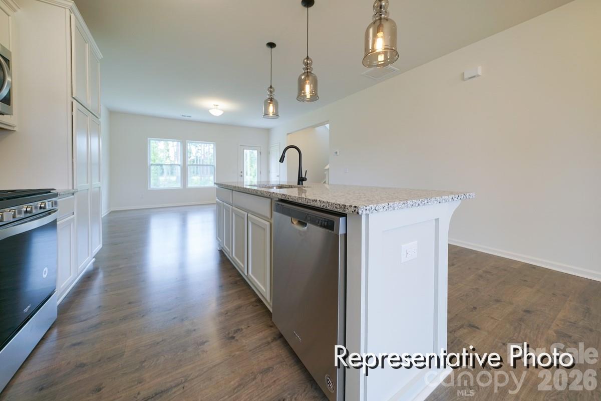 1138 Lorrie Lane #323p — Albemarle