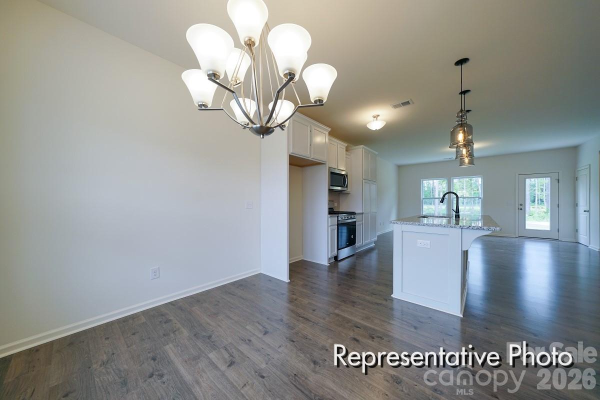 1138 Lorrie Lane #323p — Albemarle