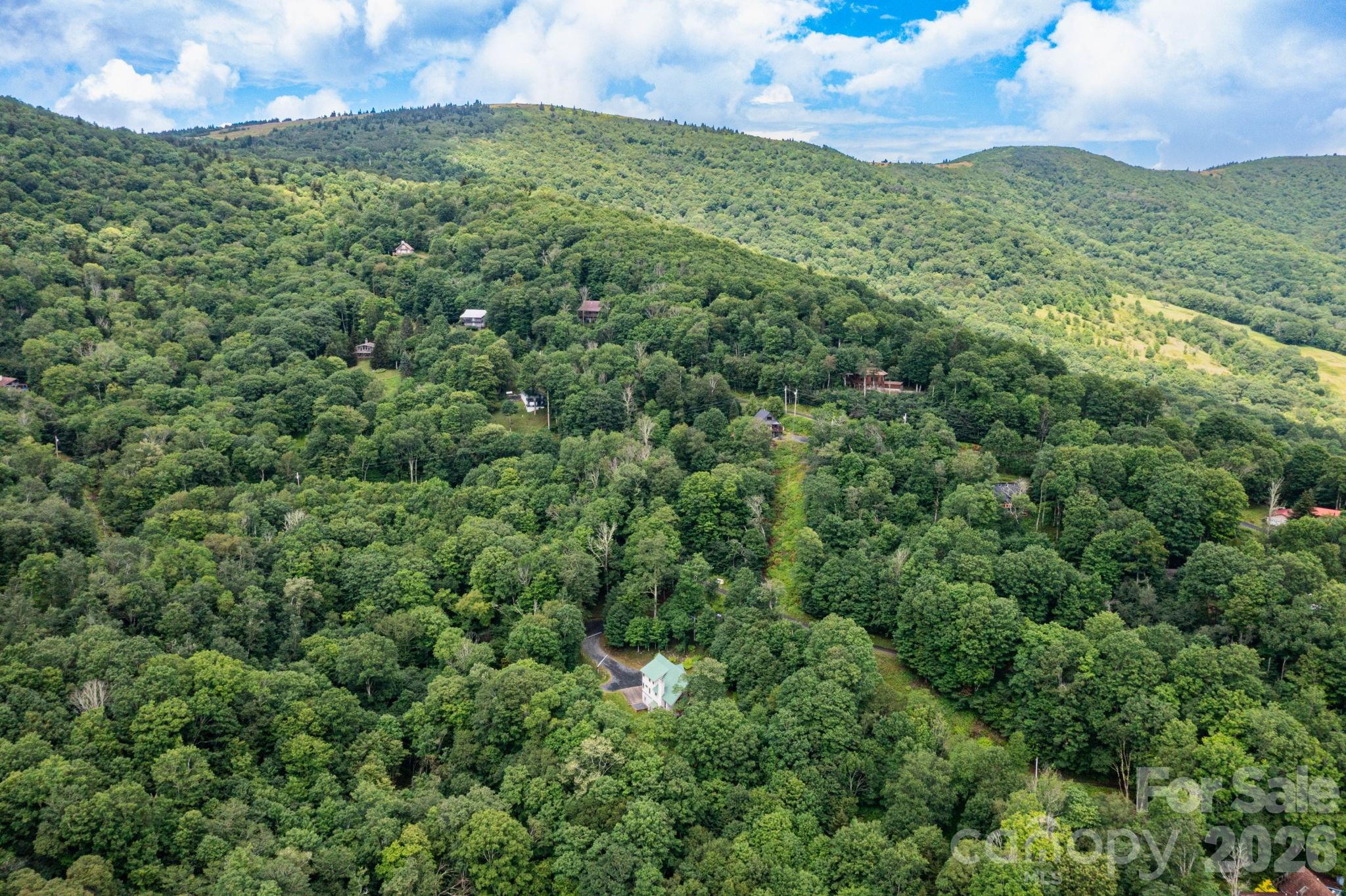 155 Mule Trail Drive — Bakersville