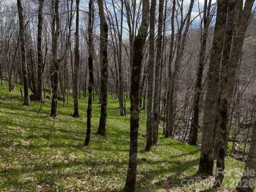 155 Mule Trail Drive — Bakersville