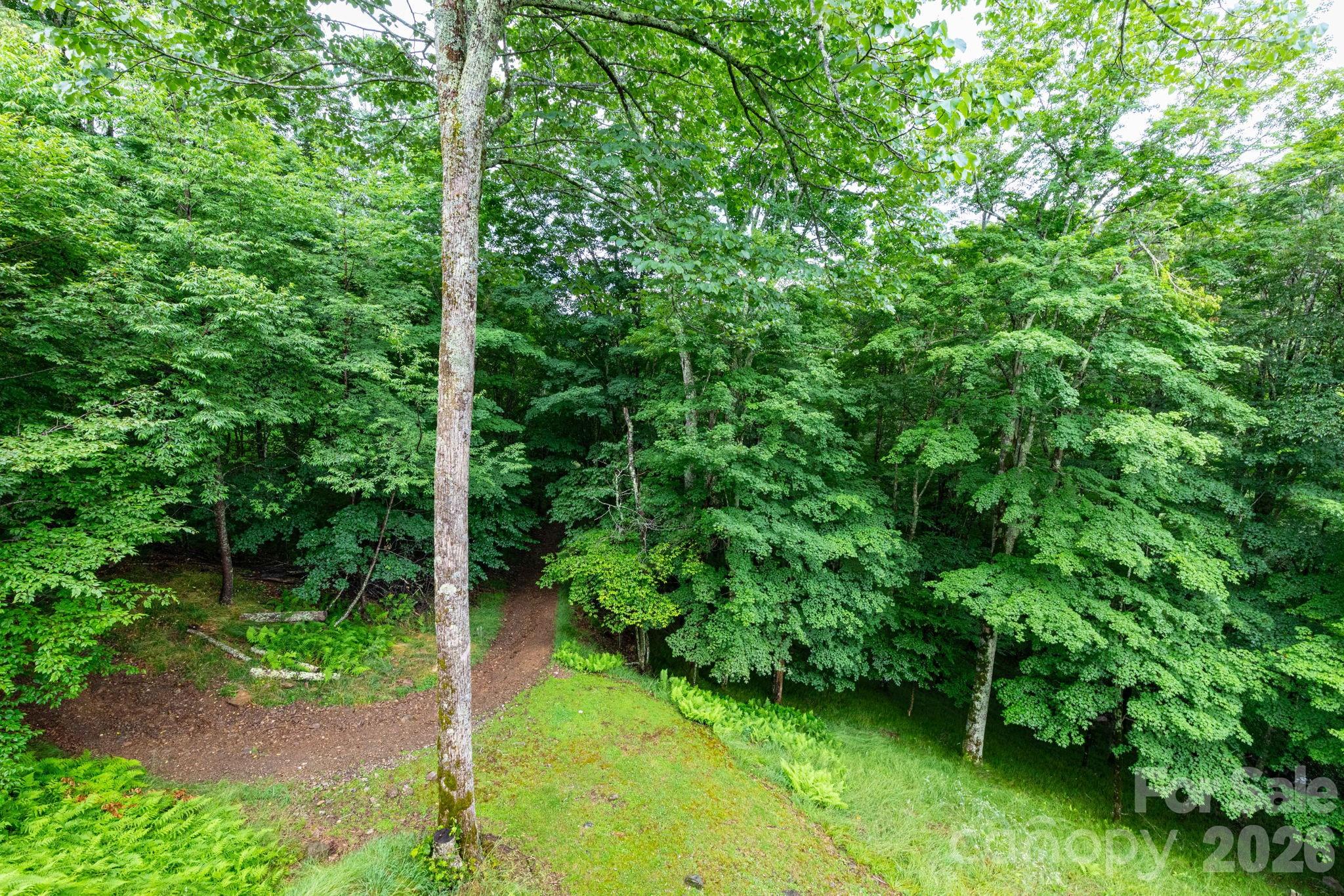 155 Mule Trail Drive — Bakersville