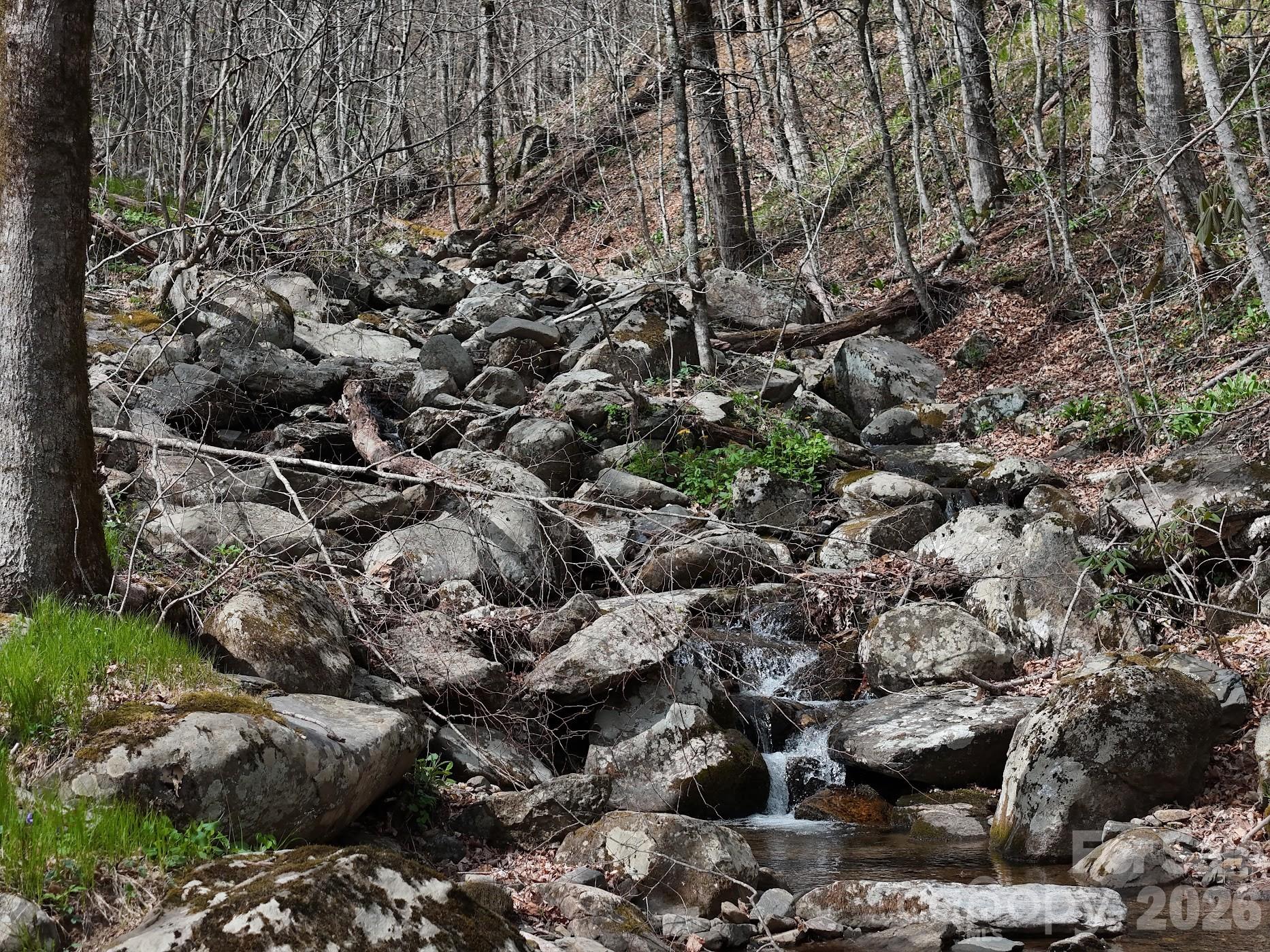 155 Mule Trail Drive — Bakersville