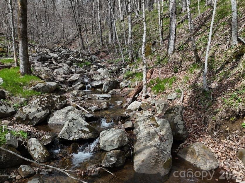 155 Mule Trail Drive — Bakersville