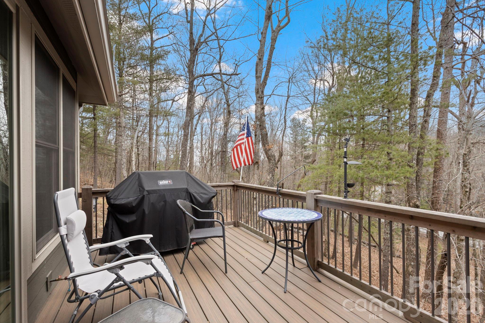 719 Overlook Drive — Flat Rock