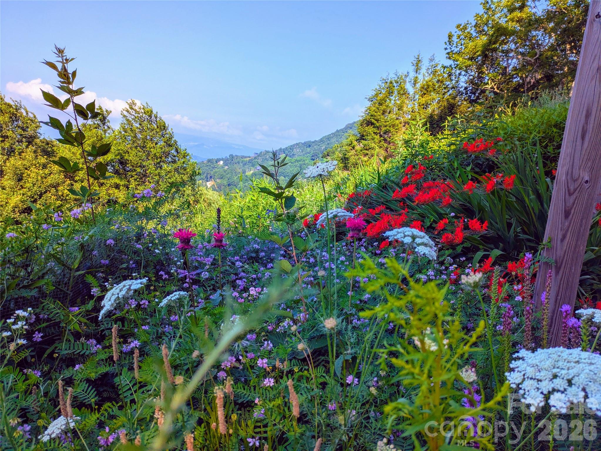 448 Howards Knob Road — Boone
