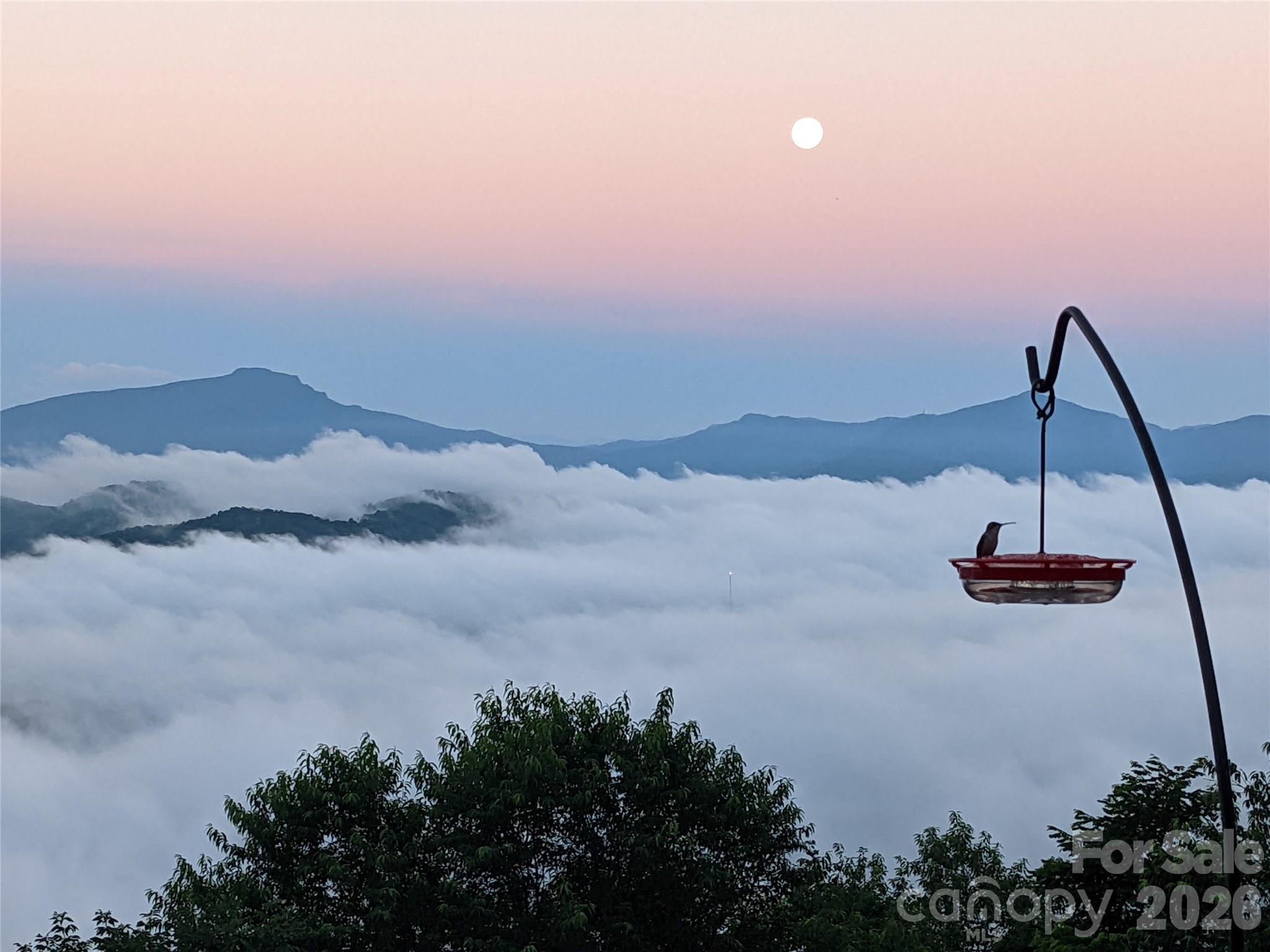 448 Howards Knob Road — Boone