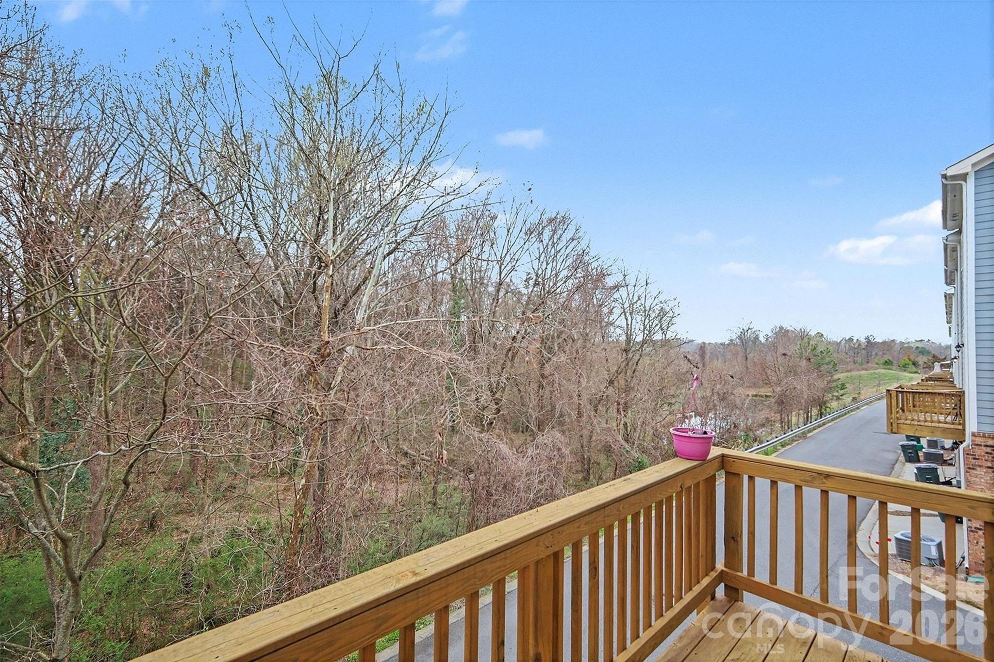 9524 Ainslie Downs Street — Charlotte