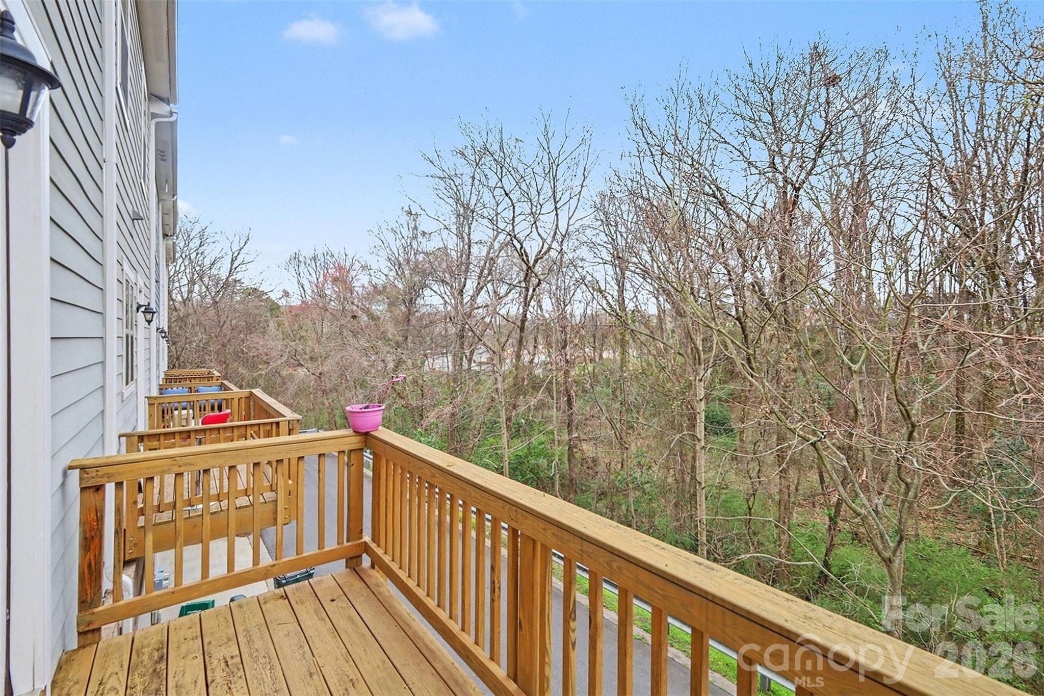 9524 Ainslie Downs Street — Charlotte