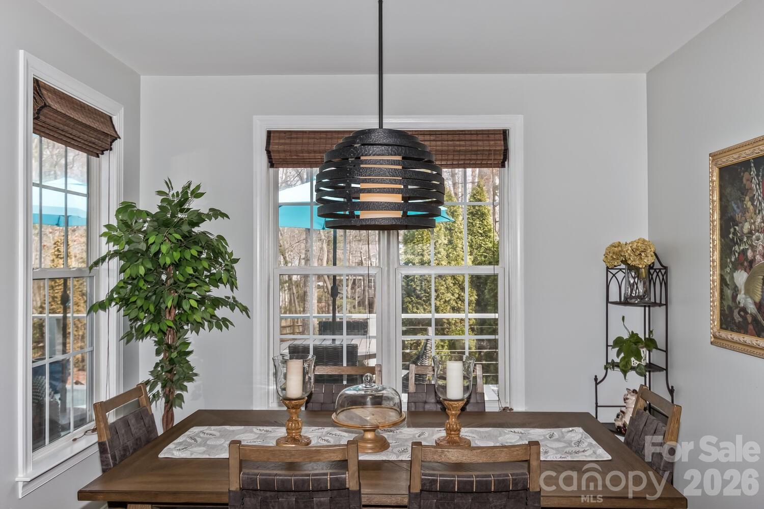 107 Mountain Drive — Biltmore Lake