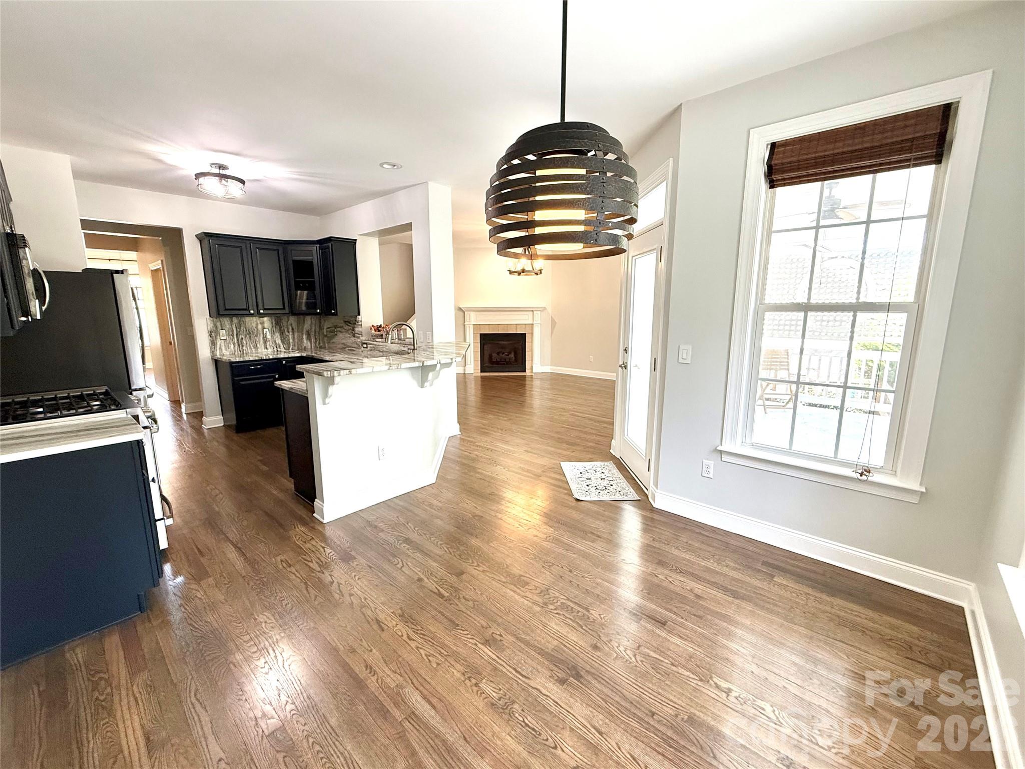 107 Mountain Drive — Biltmore Lake