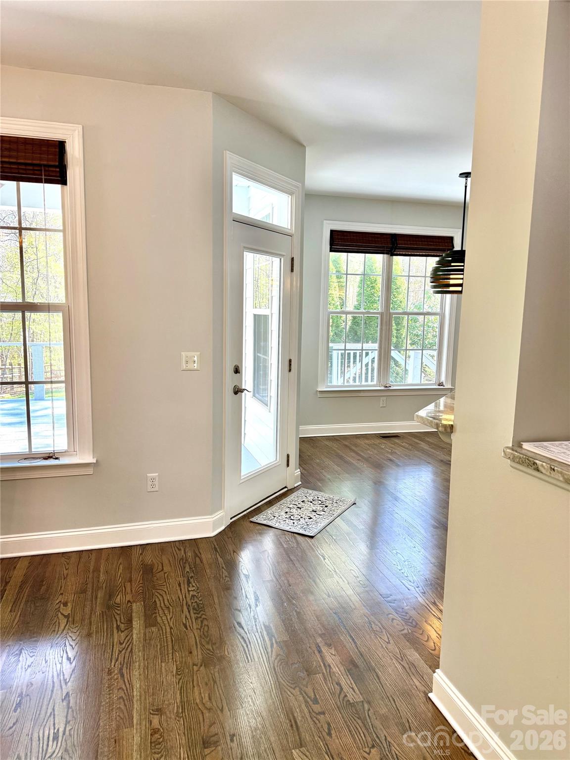107 Mountain Drive — Biltmore Lake