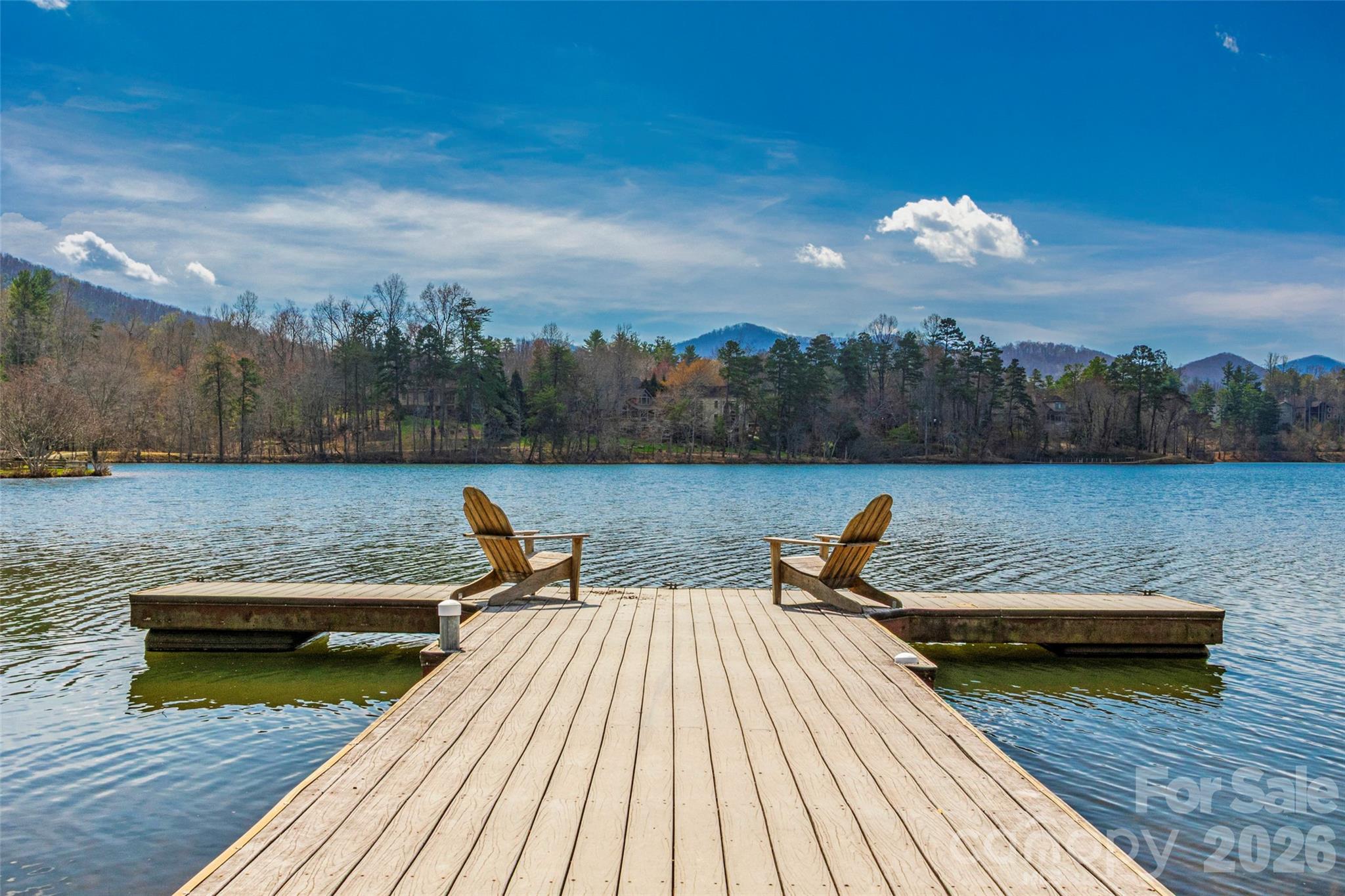 107 Mountain Drive — Biltmore Lake