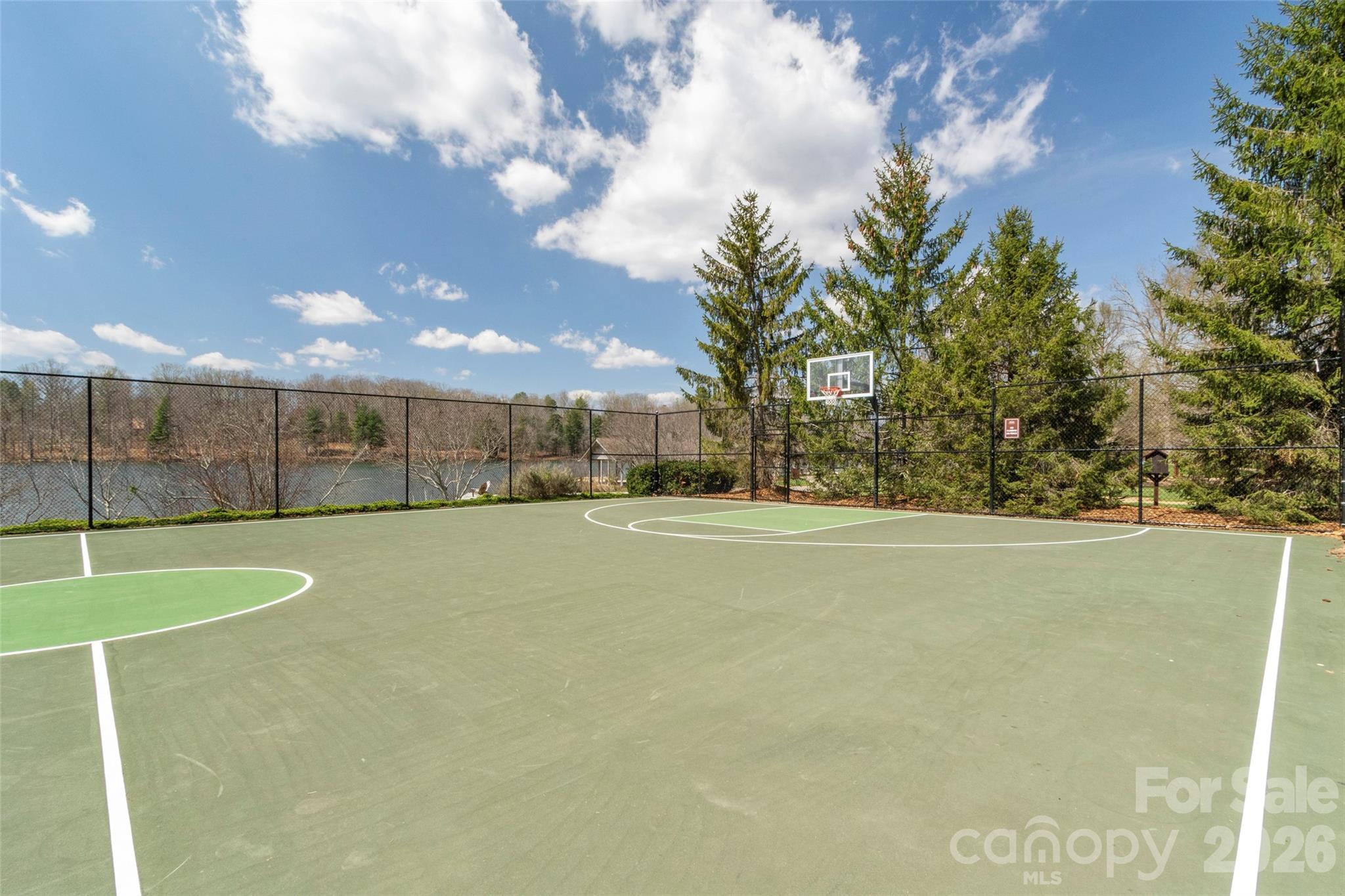 107 Mountain Drive — Biltmore Lake