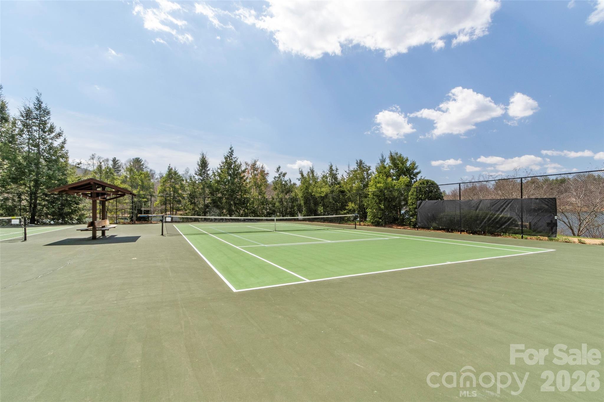 107 Mountain Drive — Biltmore Lake