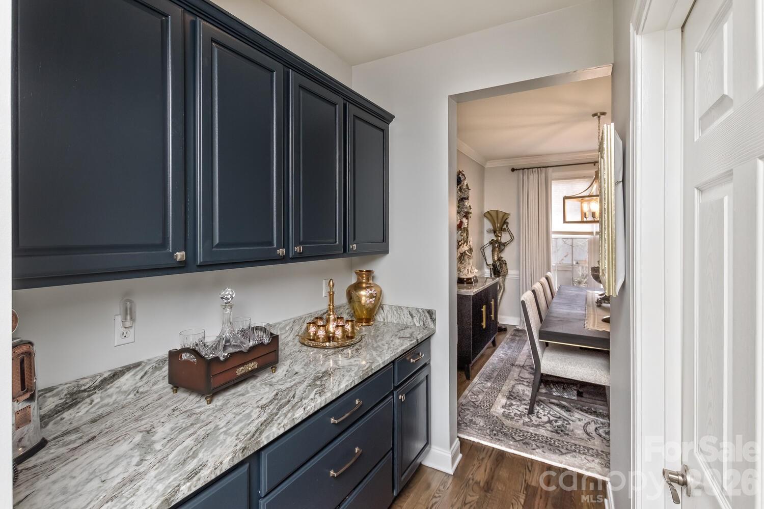 107 Mountain Drive — Biltmore Lake